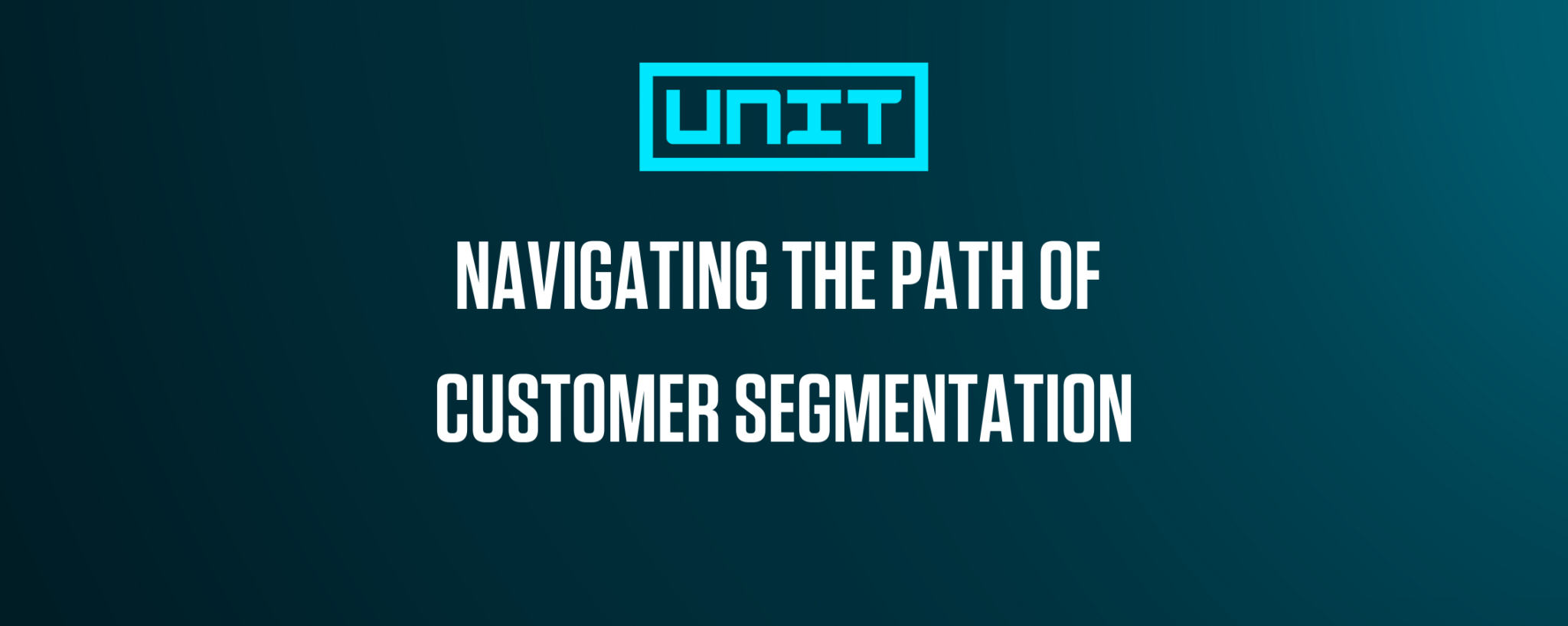 Navigating The Path Of Customer Segmentation With The Unit